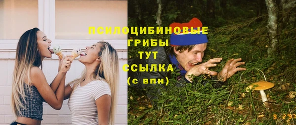 первитин Алексеевка