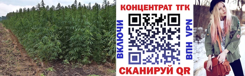 ТГК жижа  Ипатово 