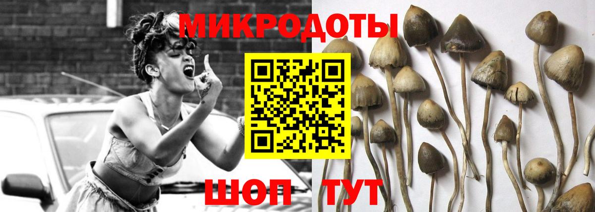 Псилоцибиновые грибы Psilocybine cubensis  Вход с VPN  Ипатово 
